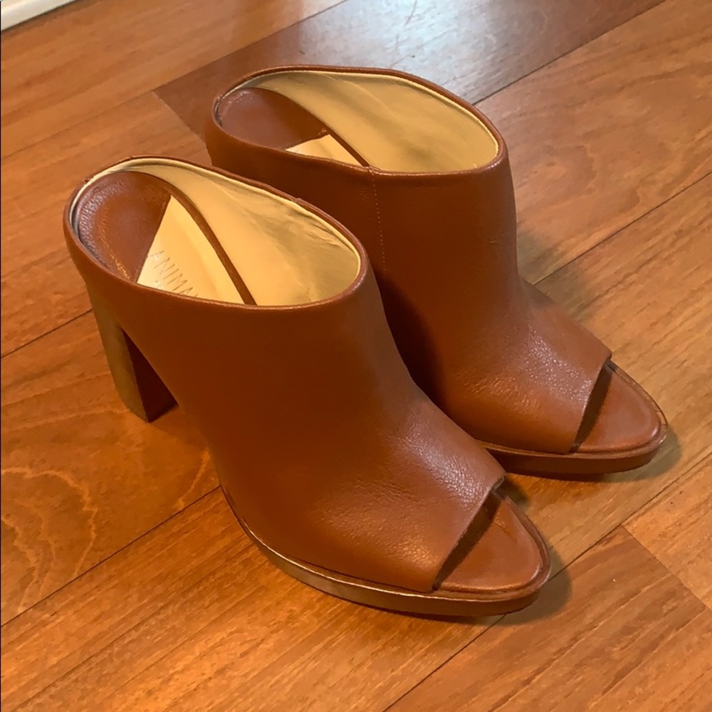 Animale Shoes